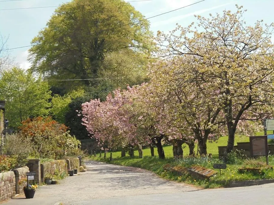 Holiday home Rustic Cottage, Garden, Near Amenities, Wifi Pateley Bridge